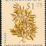 Barbados SG1325