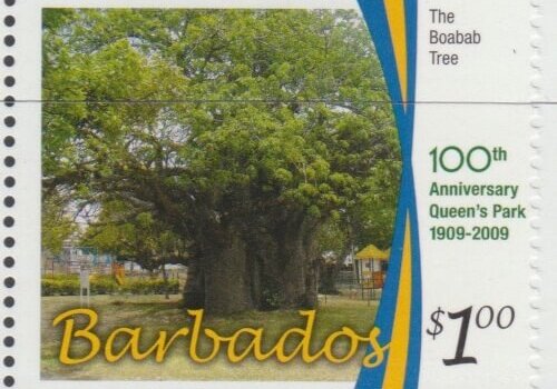 100th Anniversary of Queens Park - $1 The Baobab Tree - Barbados SG1345