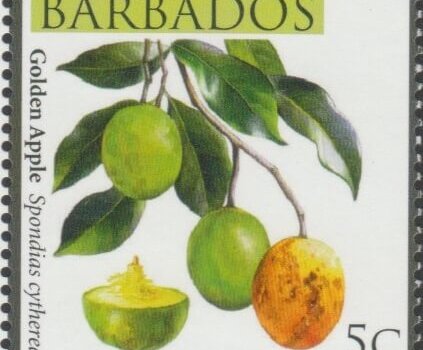 Barbados SG1359 - Local Fruits of Barbados - 5c Golden Apple