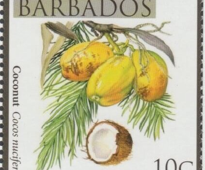 Local Fruits of Barbados - 10c Coconut - Barbados SG1360