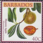 Local Fruits of Barbados - 40c Mammy Apple - Barbados SG1362