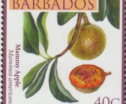 Local Fruits of Barbados - 40c Mammy Apple - Barbados SG1362