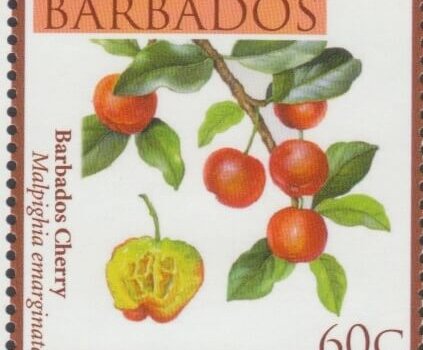 Local Fruits of Barbados - 60c Barbados Cherry - Barbados SG1363