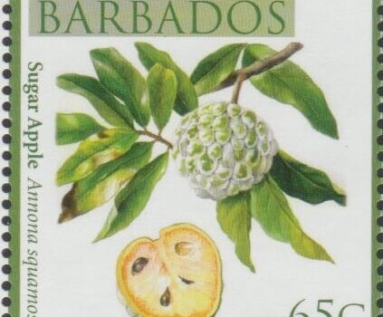 Local Fruits of Barbados - 65c Sugar Apple - Barbados SG1364