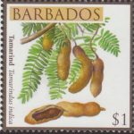 Fruits of Barbados - $1 Tamarind - Barbados SG1366