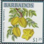 Local Fruits of Barbados - $1.25 Carambola - Barbados SG1367