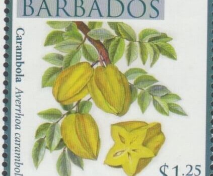 Local Fruits of Barbados - $1.25 Carambola - Barbados SG1367