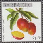 Local Fruits of Barbados - $1.50 Mango - Barbados SG1368