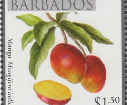 Local Fruits of Barbados - $1.50 Mango - Barbados SG1368