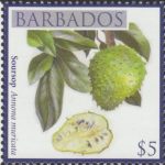 Local Fruits of Barbados - $5 Soursop - Barbados SG1373