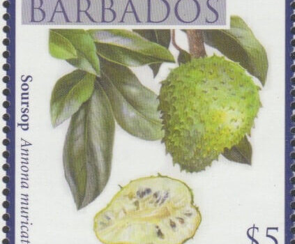 Local Fruits of Barbados - $5 Soursop - Barbados SG1373