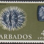 Barbados SG325