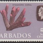 Barbados SG326