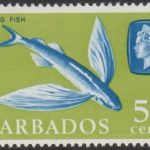 Barbados SG333