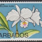 Barbados SG485