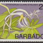 Barbados SG494