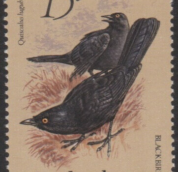 Barbados SG627A