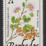 Barbados SG921