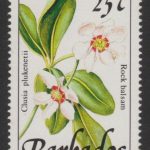 Barbados SG925