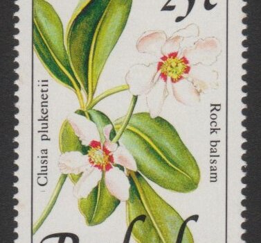 Barbados SG925