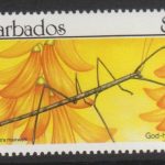 Barbados SG940
