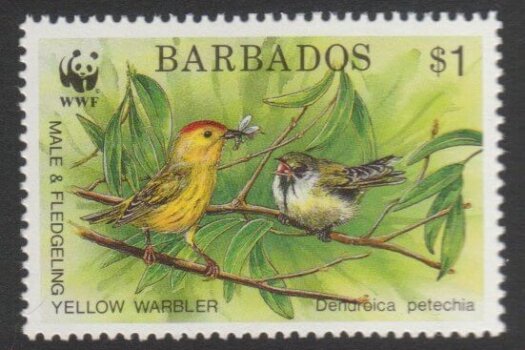 Barbados SG951