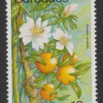 Barbados SG987