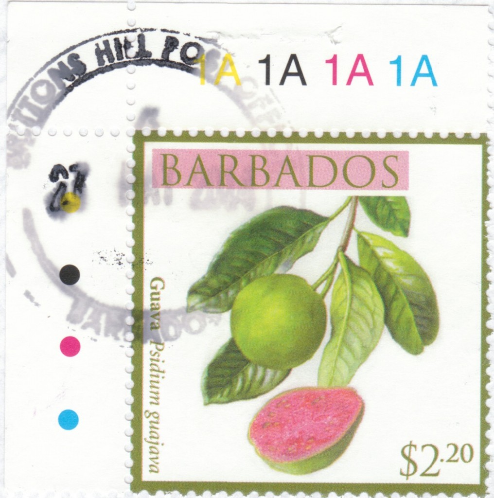 Cancel from Brittons Hill Post Office, Barbados
