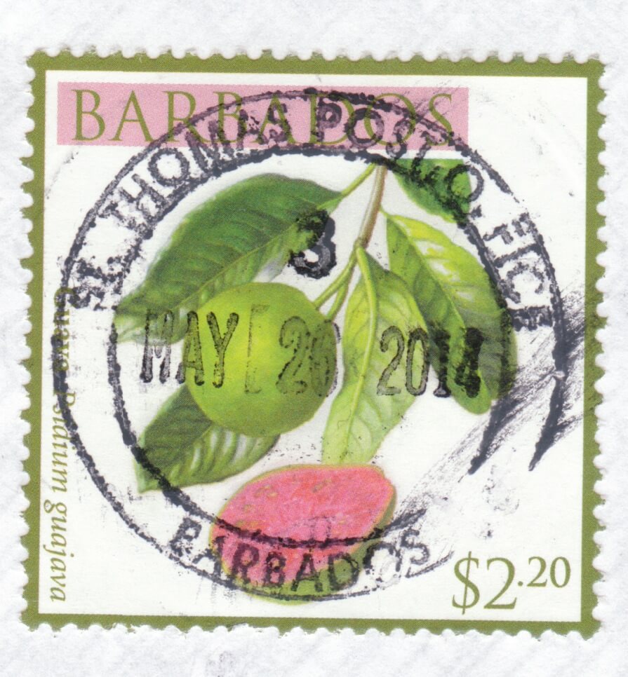 Cancel from St Thomas Post Office, Barbados