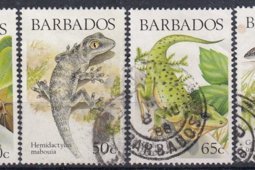 Barbados SG859-862 | Lizards of Barbados (used)