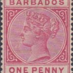 Barbados SG91 Rose