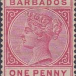 Barbados SG91 Rose