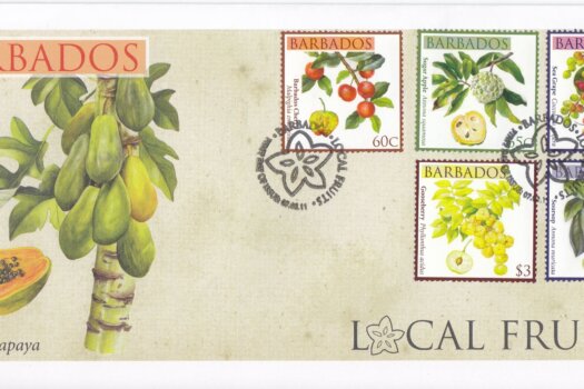 Barbados 2011 Local Fruits FDC - 2