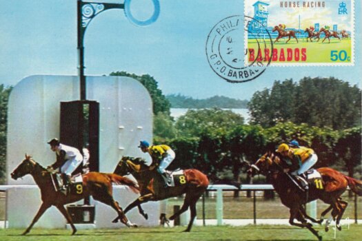 Barbados Horse Racing Commemorative or Souvenir Postcard 1