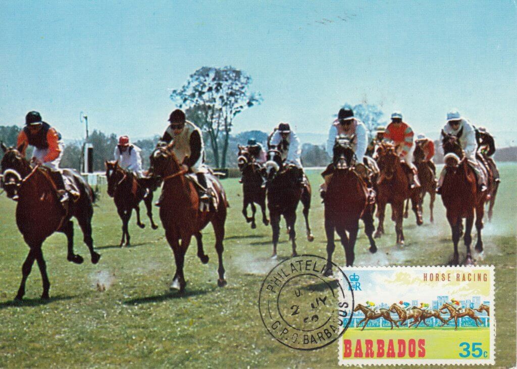 Barbados Horse Racing Commemorative or Souvenir Postcard 3