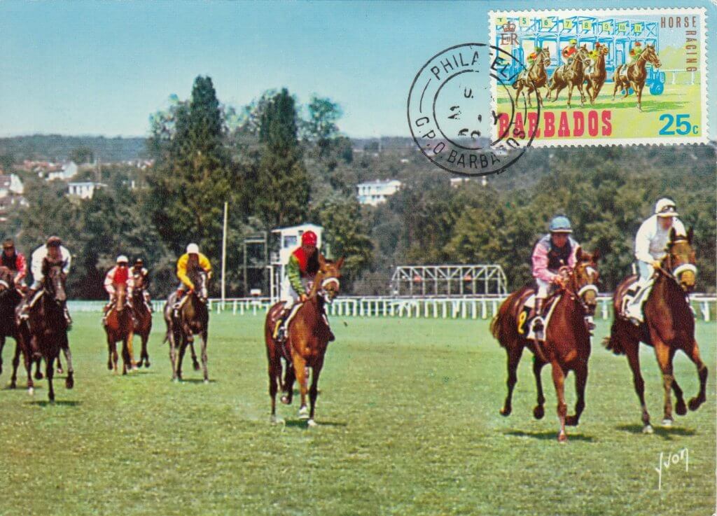 Barbados Horse Racing Commemorative or Souvenir Postcard 2