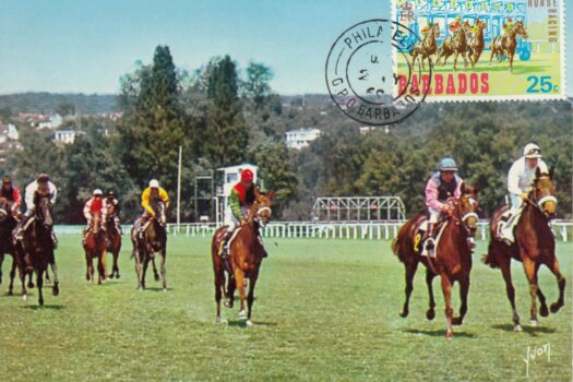 Barbados Horse Racing Commemorative or Souvenir Postcard 2