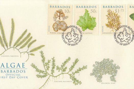 Barbados 2008 Algae FDC