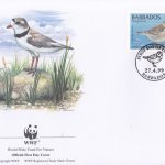 Barbados 1999 Wildlife (Piping Plover) WWF Official FDC 1 of 4