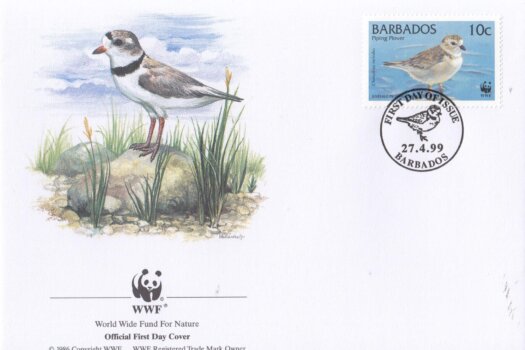 Barbados 1999 Wildlife (Piping Plover) WWF Official FDC 1 of 4