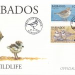 Barbados 1999 Wildlife (Piping Plover) FDC