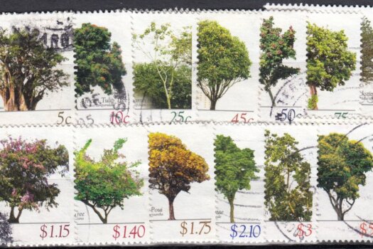 Barbados Flowering Trees Definitives 2005