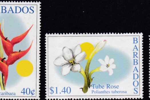 Barbados SG1211-1214 | Barbados Flowers