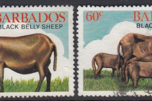 Barbados SG693-696 | Black Belly Sheep (Used)