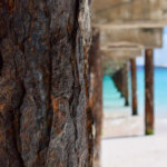 Under the boardwalk, Carlisle Bay, Barbados