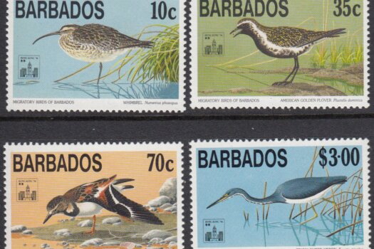 Hong Kong 94 International Stamp Exhibition - Migratory Birds | Barbados Stamps
