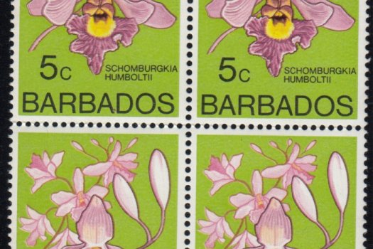 5c stamp block of four from Barbados 1974 Stamp Booklet