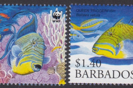 Barbados SG1290-1293| Endangered Species - Queen Triggerfish