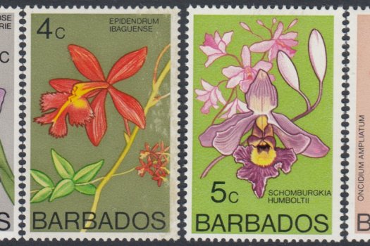 Barbados SG485-500 | Full Set - Orchids of Barbados Definitives 1974-77 (1)