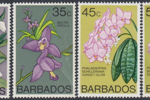 Barbados SG485-500 | Full Set - Orchids of Barbados Definitives 1974-77 (2)